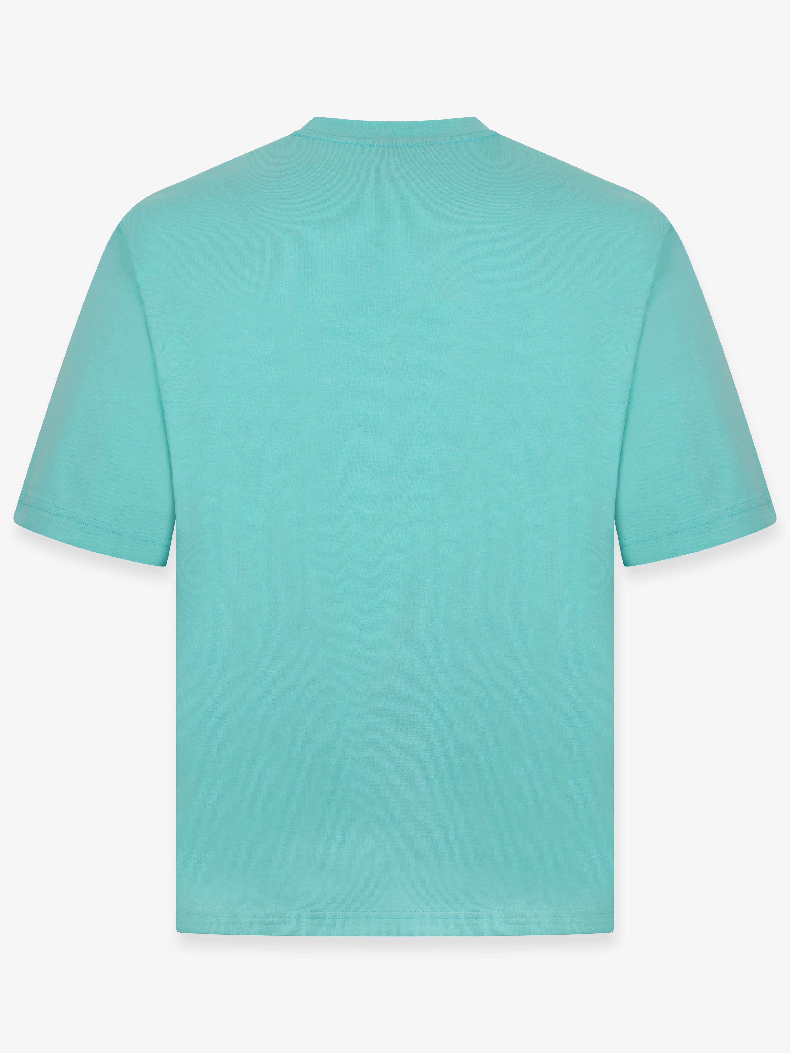 TONAL LOGO EMBROIDERY T-SHIRT IN ARUBA BLUE