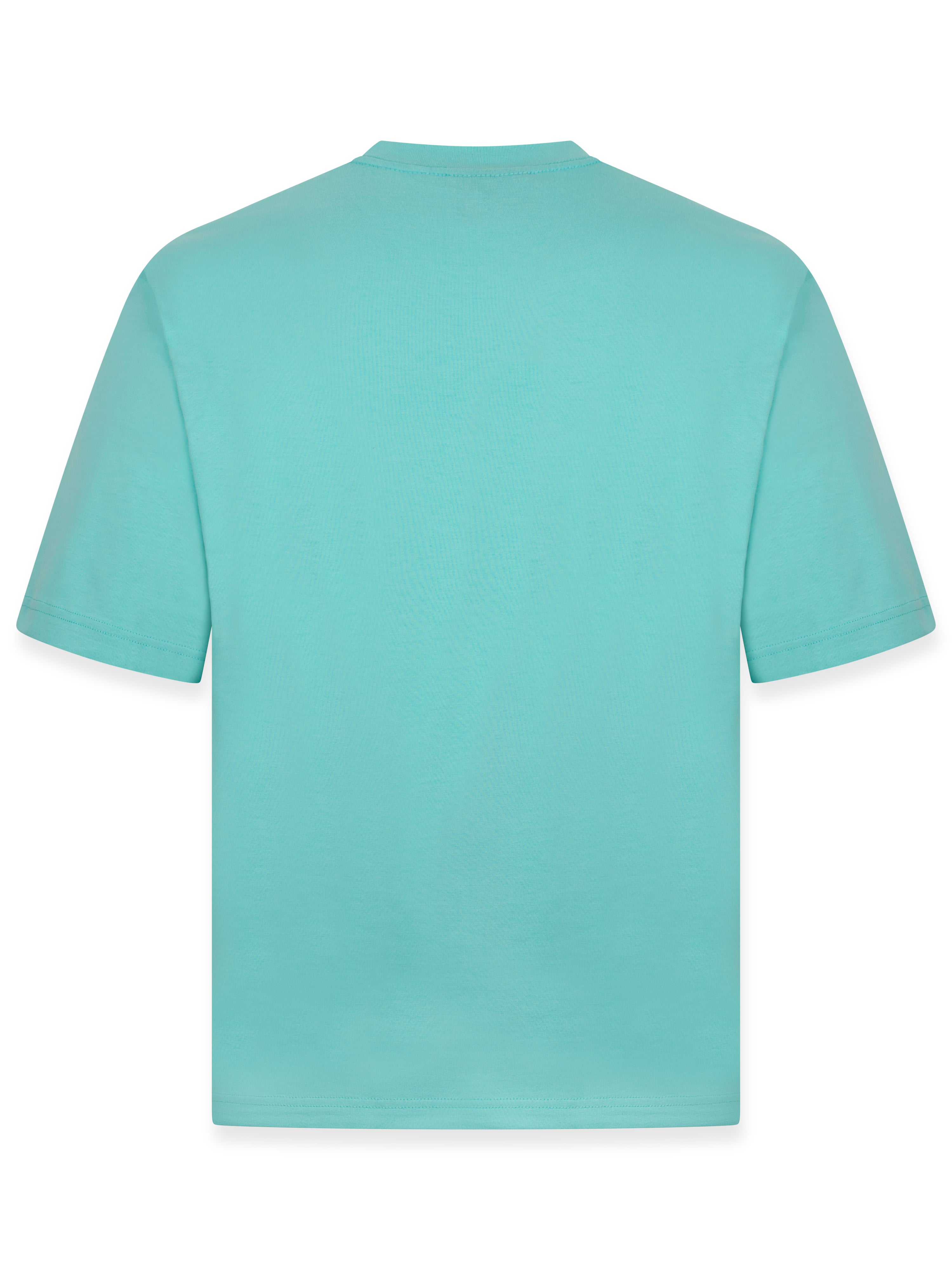 BASIX CROPPED OVERSIZED T-SHIRT IN ARUBA BLUE