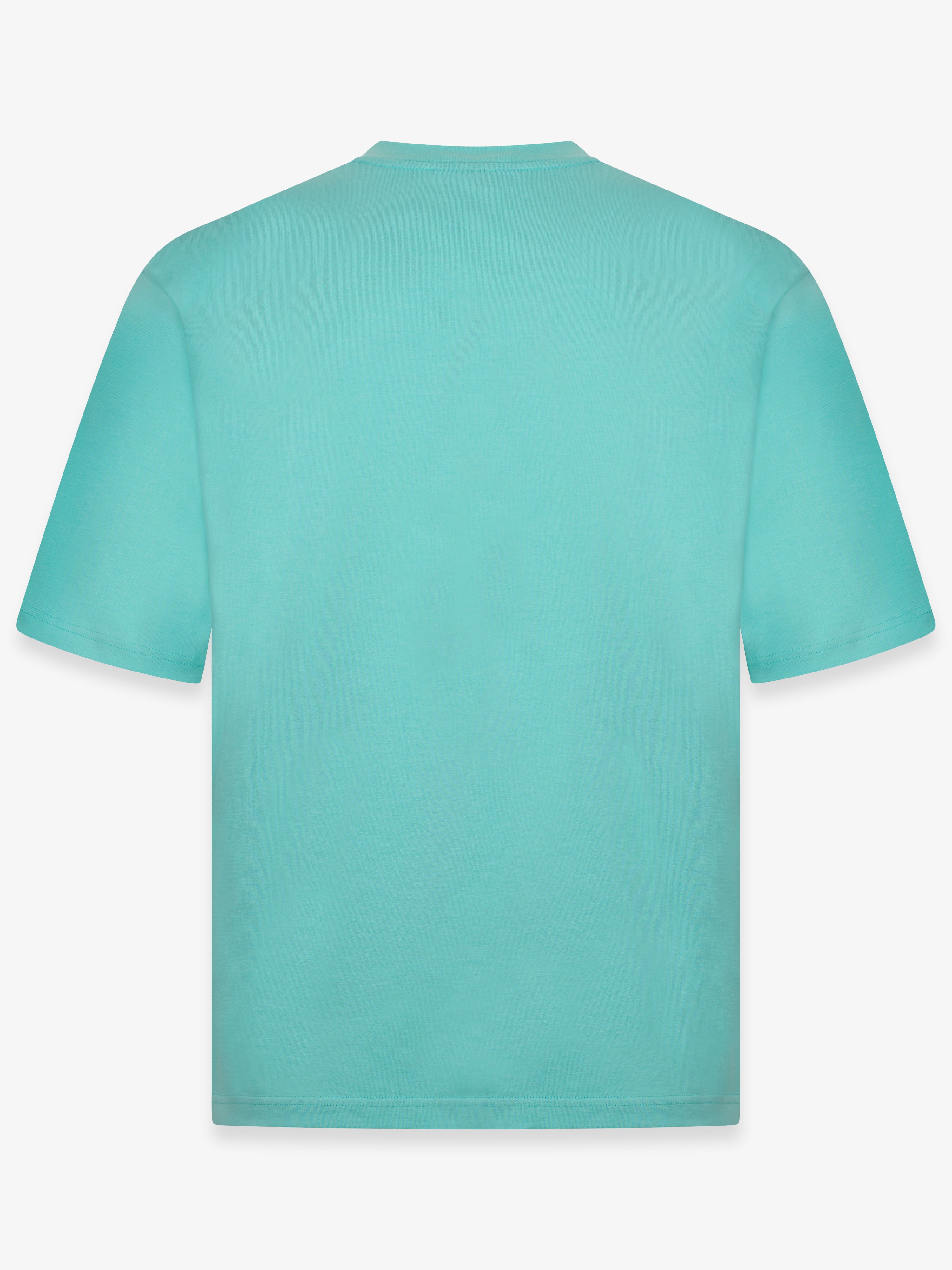 COLLEGE TIM FIELD CROPPED OVERSIZED T-SHIRT IN ARUBA BLUE