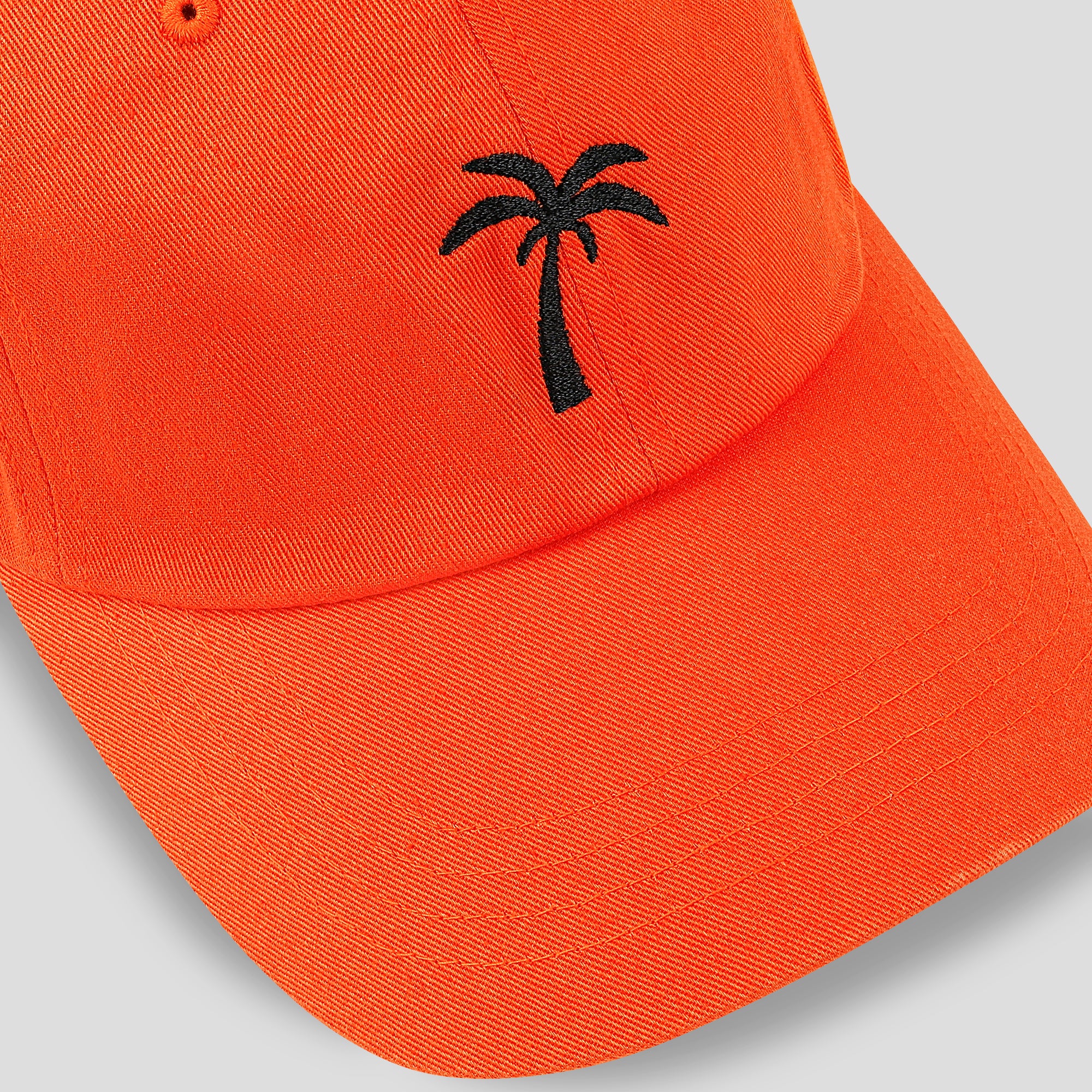 Big Palm Tree Hat